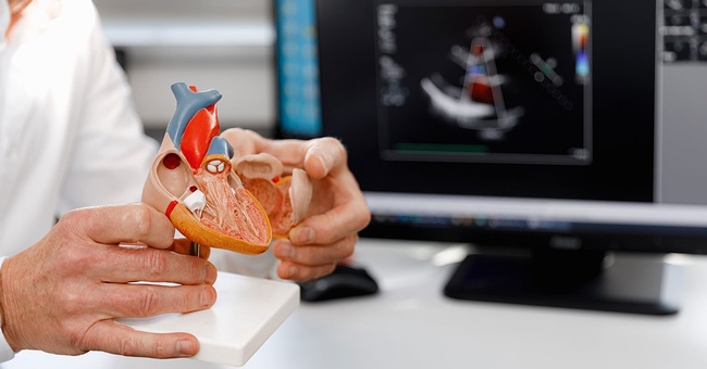 Medizinier erklärt Herzfunktionen. © Shutterstock