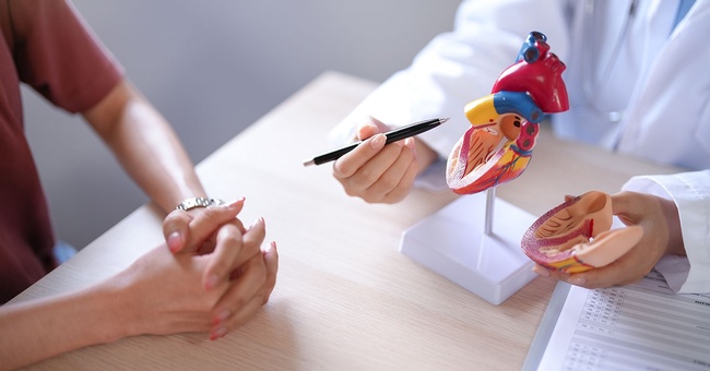 Kardiologe klärt über Herz auf. © Shutterstock