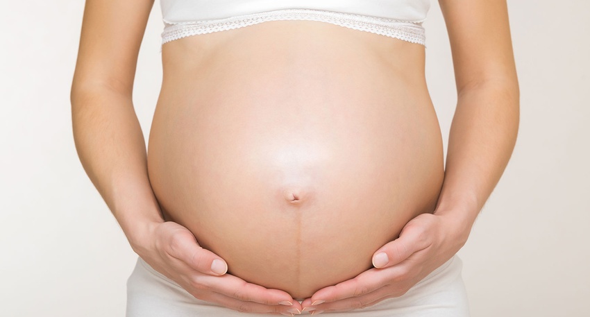 Schwangerschaft © shutterstock
