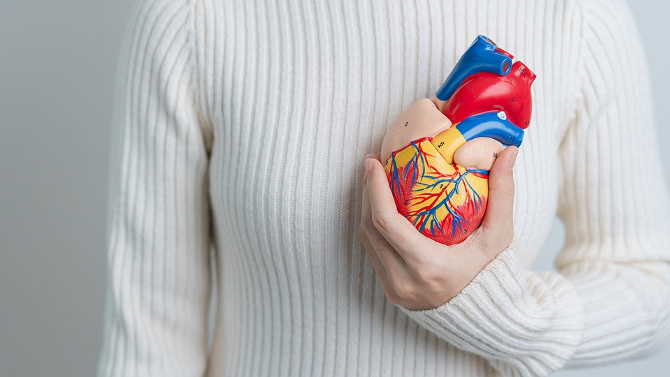 Frau hält Herzskulptur in der Hand © Shutterstock