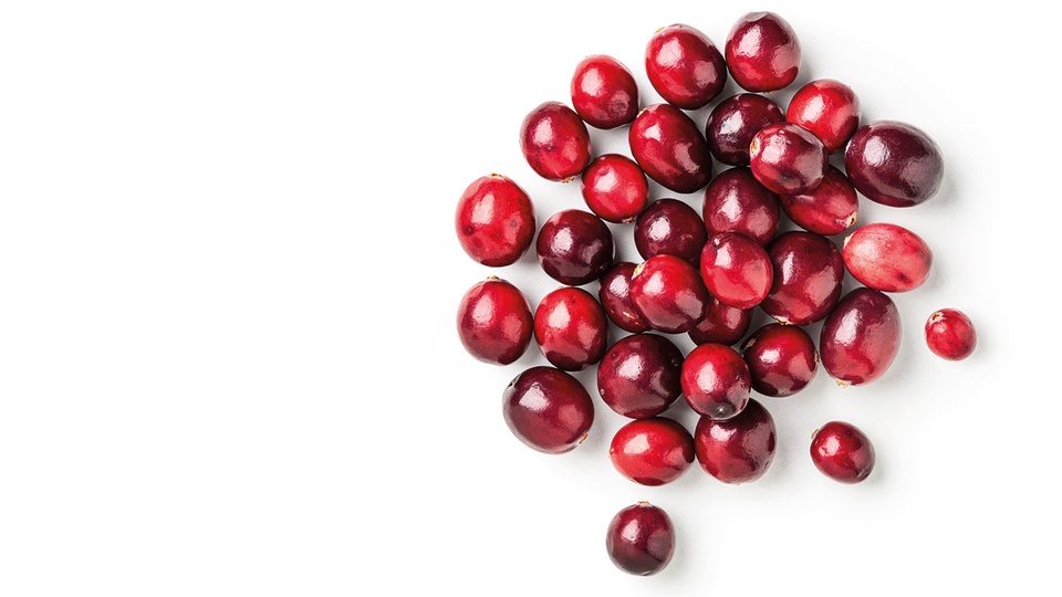 Cranberrys werden aufgrund des günstigen Nutzen-Schaden-Ver-hältnisses trotz Fehlen eindeutiger Wirkungsnachweise empfohlen. © Shutterstock