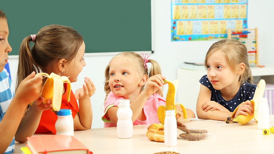 Milchgetränke für die Schulpause © Shutterstock